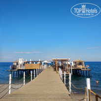 фото из отзыва ID 1992908