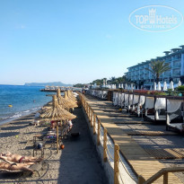 фото из отзыва ID 1992908