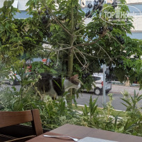 фото из отзыва ID 1992999