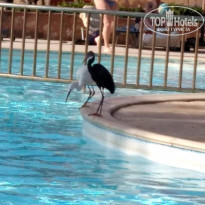 фото из отзыва ID 1993063