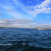 фото из отзыва ID 1993042