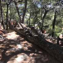 фото из отзыва ID 1993123