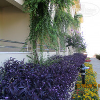 фото из отзыва ID 1993108