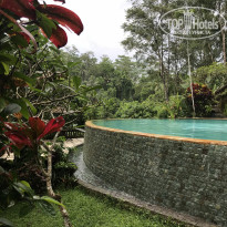 фото из отзыва ID 1993119