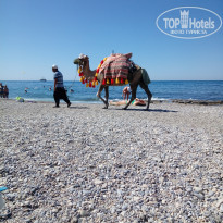 фото из отзыва ID 1993127