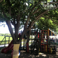 фото из отзыва ID 1993283