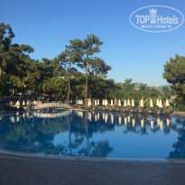 фото из отзыва ID 1993268