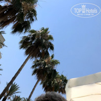 фото из отзыва ID 1993318