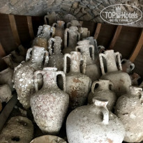 фото из отзыва ID 1993318