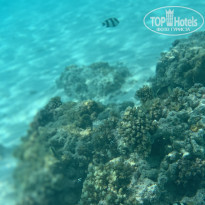 фото из отзыва ID 1993514