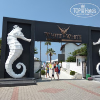 фото из отзыва ID 1993516