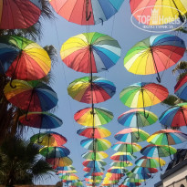 фото из отзыва ID 1993516