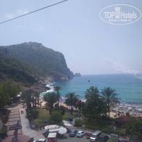 фото из отзыва ID 1993516