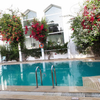 фото из отзыва ID 1993535