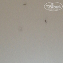 фото из отзыва ID 1993658