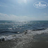 фото из отзыва ID 1993658