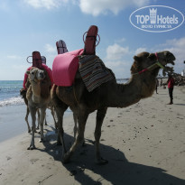 фото из отзыва ID 1993658