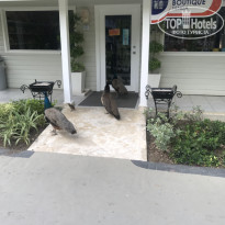 фото из отзыва ID 1993664