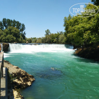 фото из отзыва ID 1993620