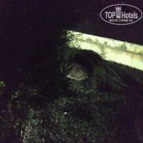 фото из отзыва ID 1993659