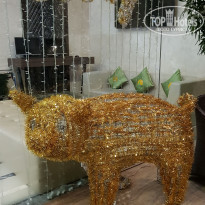 фото из отзыва ID 1993759