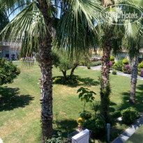 фото из отзыва ID 1993807