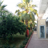 фото из отзыва ID 1993807