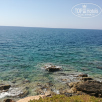 фото из отзыва ID 1993644