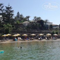 фото из отзыва ID 1993644