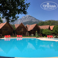 фото из отзыва ID 1993870