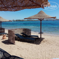 фото из отзыва ID 1993852