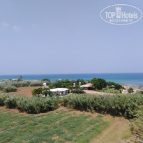 фото из отзыва ID 1994193