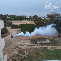 фото из отзыва ID 1993986