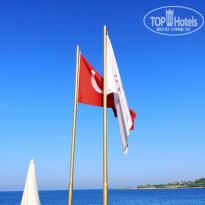 фото из отзыва ID 1994146