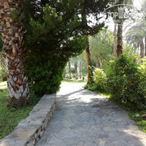 фото из отзыва ID 1994278