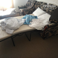 фото из отзыва ID 1994313