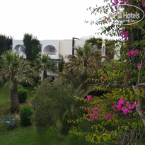 фото из отзыва ID 1994321