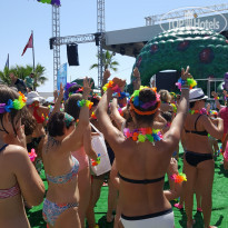 фото из отзыва ID 1994383