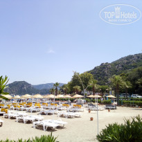 фото из отзыва ID 1994390