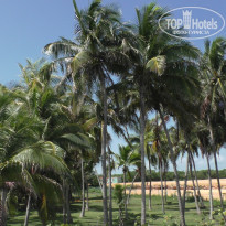 фото из отзыва ID 1994462