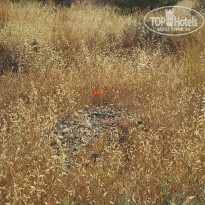 фото из отзыва ID 1994400