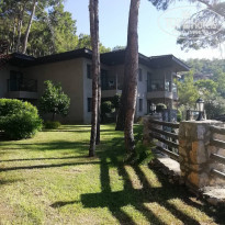 фото из отзыва ID 1993293