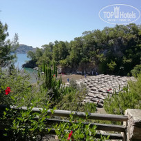 фото из отзыва ID 1993293