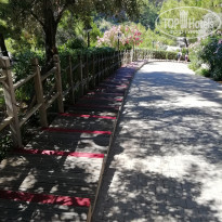 фото из отзыва ID 1993293