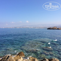 фото из отзыва ID 1995360