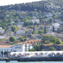 фото из отзыва ID 1995402