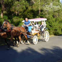 фото из отзыва ID 1995402