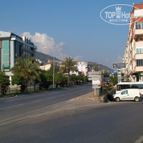 фото из отзыва ID 1995456