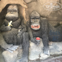 фото из отзыва ID 1995543