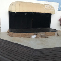 фото из отзыва ID 1995531